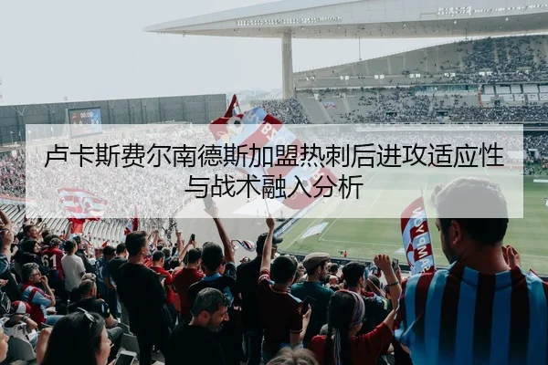 lu-ka-si-fei-er-nan-de-si-jia-meng-re-ci-hou-jin-gong-shi-ying-xing-yu-zhan-shu-rong-ru-fen-xi-2-612.jpg