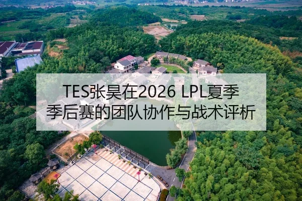 TES张昊在2026 LPL夏季季后赛的团队协作与战术评析